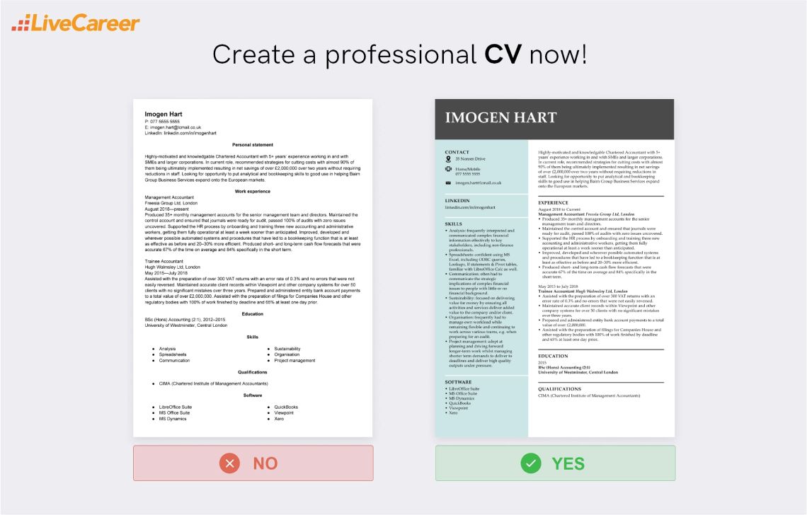 revisor cv exempel