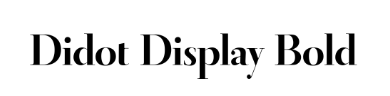 Didot fet stil