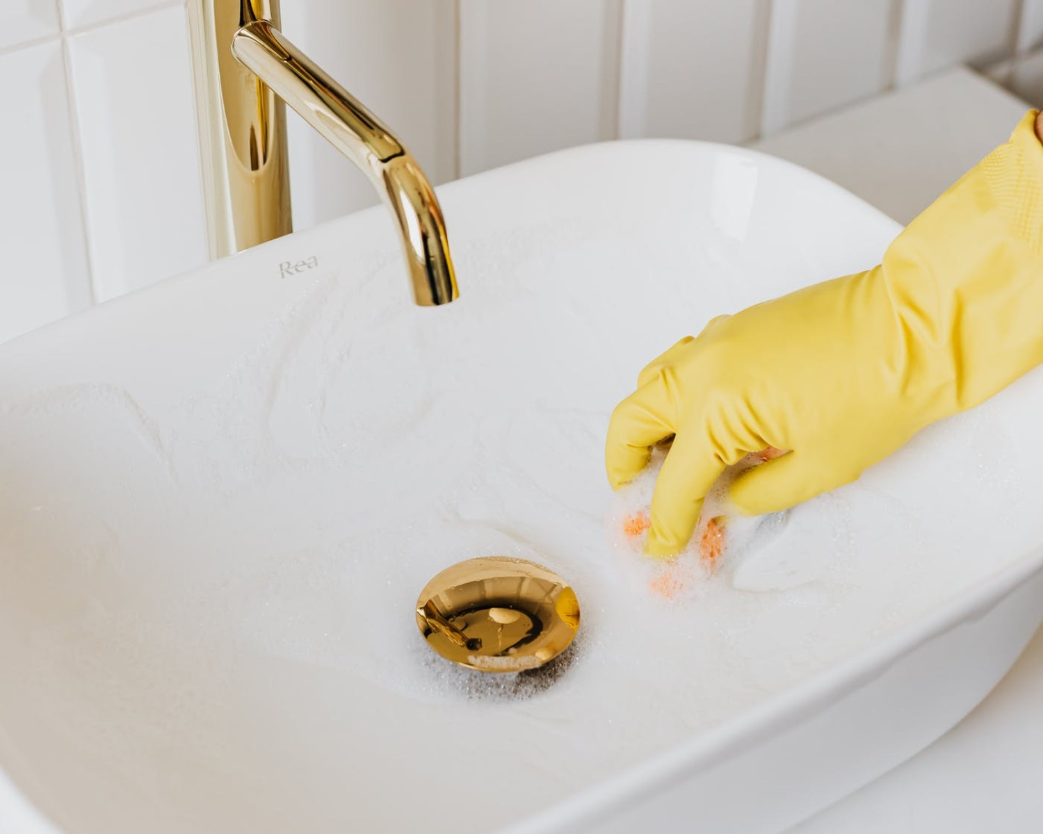 Renare CV-exempel och gratis skrivguide för 2025