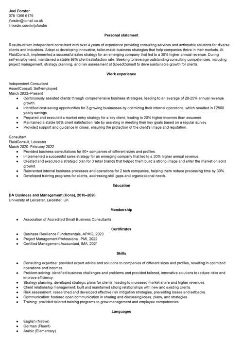 konsult CV exempel