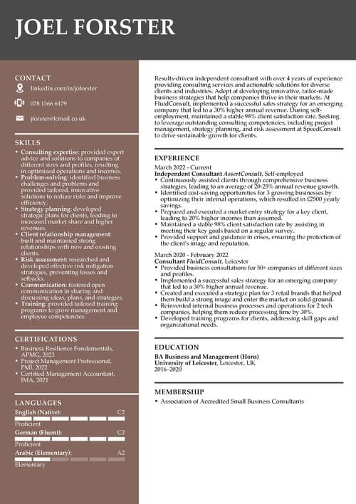 konsult CV exempel