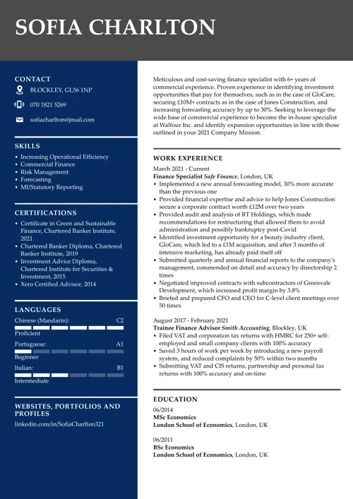 ekonomi cv exempel
