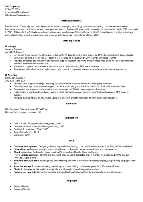 IT-chef CV prov