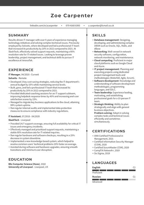 IT-chef CV prov