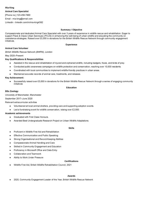 Volontär CV exempel