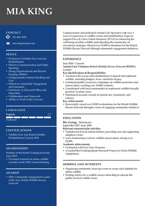 Volontär CV exempel